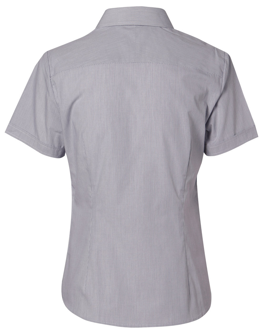BENCHMARK Women's Fine Stripe S/S Shirt - M8211